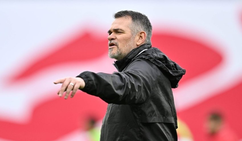 ვილის საფიქრალი ყვითელი კობის ვილის საფიქრალი ყვითელი კობის